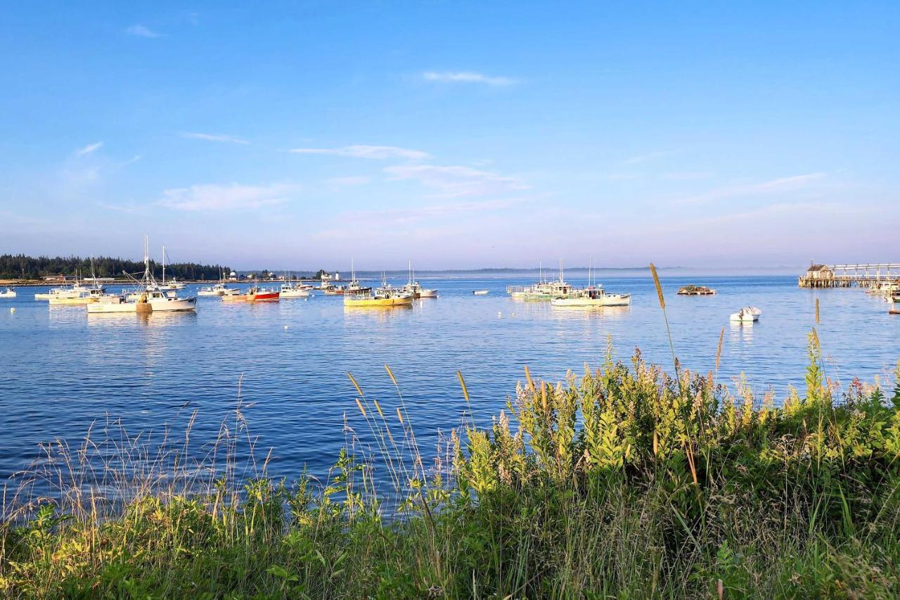 Hidden Gem Cottage Near Blue Hill Peninsula Brooklin Εξωτερικό φωτογραφία